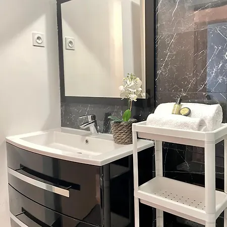 Luxurious & Spacious Flat In Apartment Paris